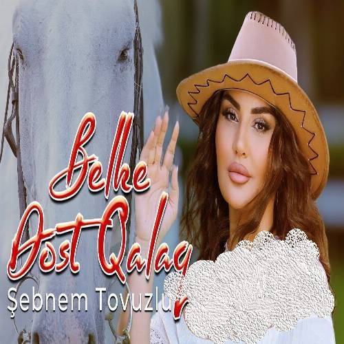 دانلود آهنگ بلکه دوست قالاق از شبنم تووزلو دانلود آهنگ بلکه دوست قالاق از شبنم تووزلو